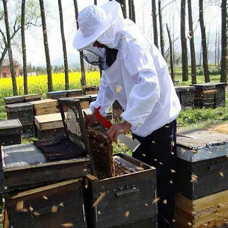 Stainless Bee Hive Tool Frame Lifter and Scraper J Shape Hook Beekeeper Knif SJ