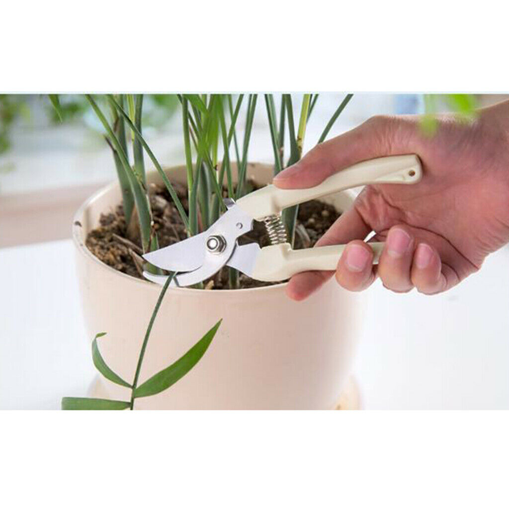 Steel Tree Cutter Gardening Pruning Shear Anti-Slip for Fruit Trees Orchard