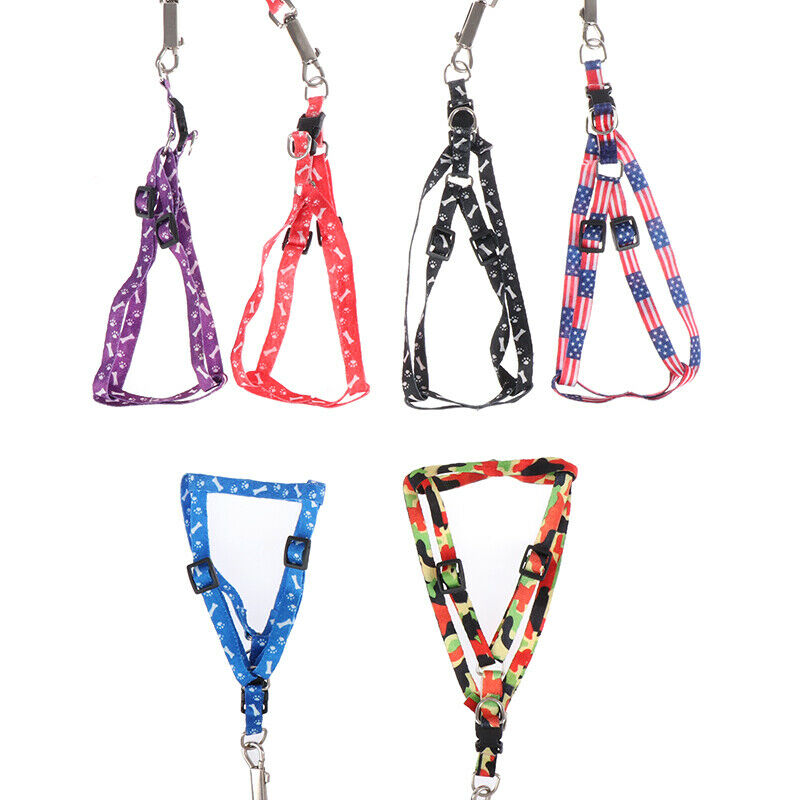 1CM Width Small Pet Dog Cat Print Rope Lead Leash Harness Adjustable Ches.l8