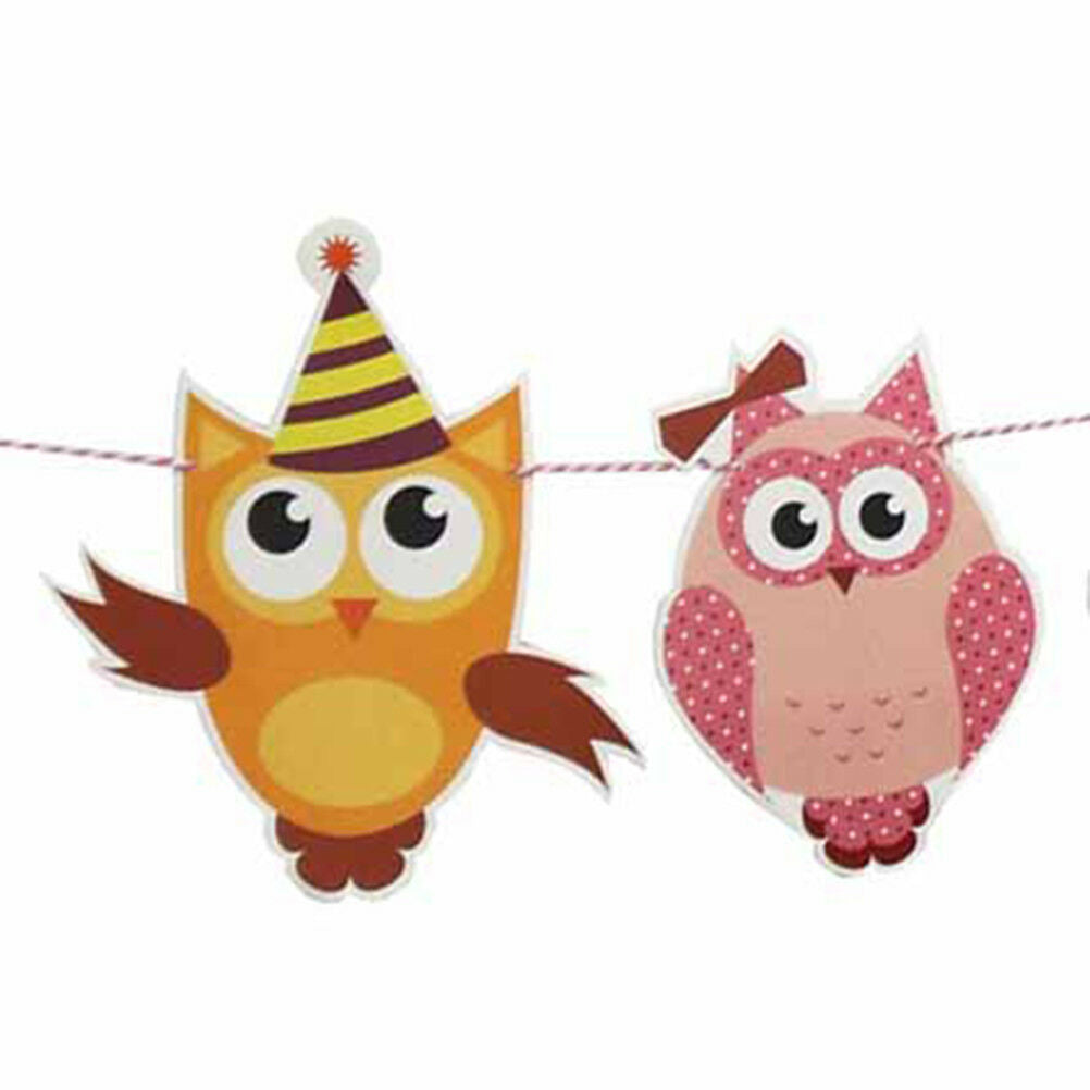 cartoon owl paper flag birthday party decoration banner bunting for childr.l8