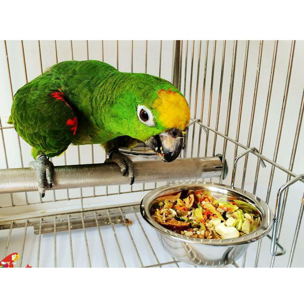 Birds Parrot Stainless Steel Hanging Cup Food Feeding Bowl Cage Accessories