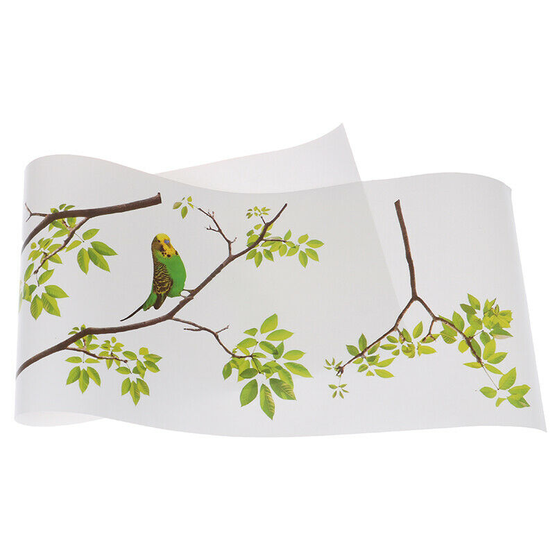 Vivid Wall Decals Birds on Tree Peel and Stick Fresh Removable Wall Stick SL SJ