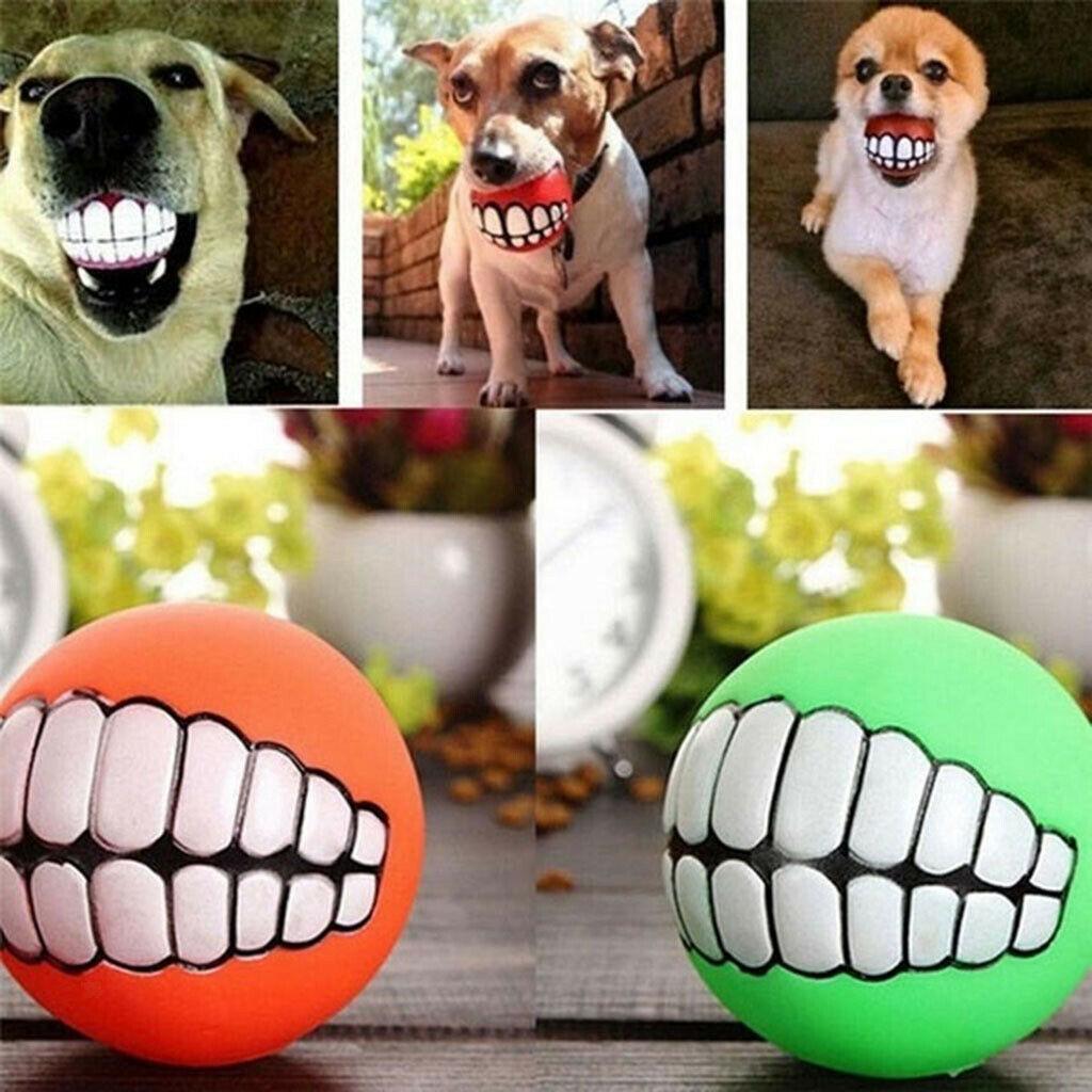 Set of 5 Non-toxic Squeak Puppy Toys, Funny Ball Sets Pet Interactive Play for
