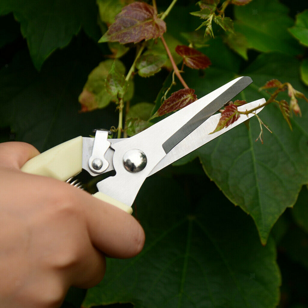 Gardening Bonsai Pruning Pruner Plant Cutter with Anti-slip Handle Cutting