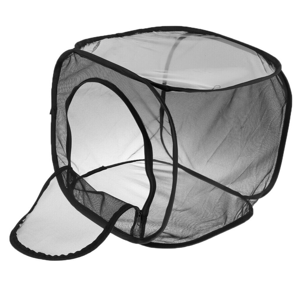 2 pcs Foldable Insect Butterfly Habitat House Terrarium Breeding Cage