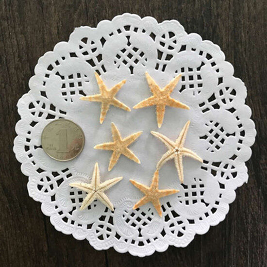 20pcs Natural Starfish Crafts Decor Mini 3cm-5cm Crafts, Wedding & Decor