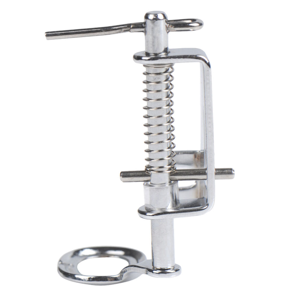 Free Motion Quilting Darning Embroidery Monogramming Spring Presser Foot Feet TH