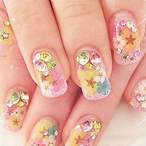 Dry Flower Salon Acrylic UV Gel Nail Art Manicure Crafts DIY Design Decorations