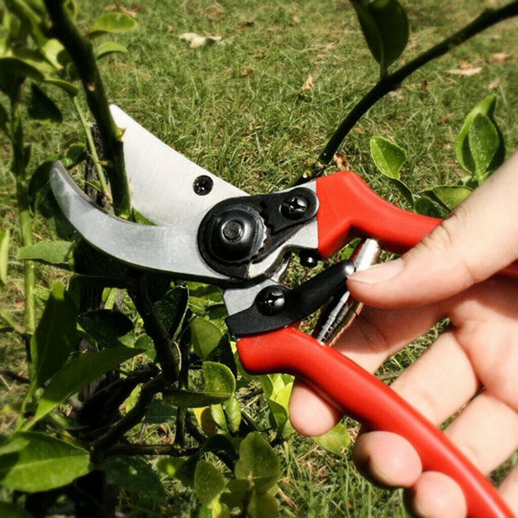 8'' Strong Carbon Steel Garden Shears Cutters Secateurs Plant Pruning Trim