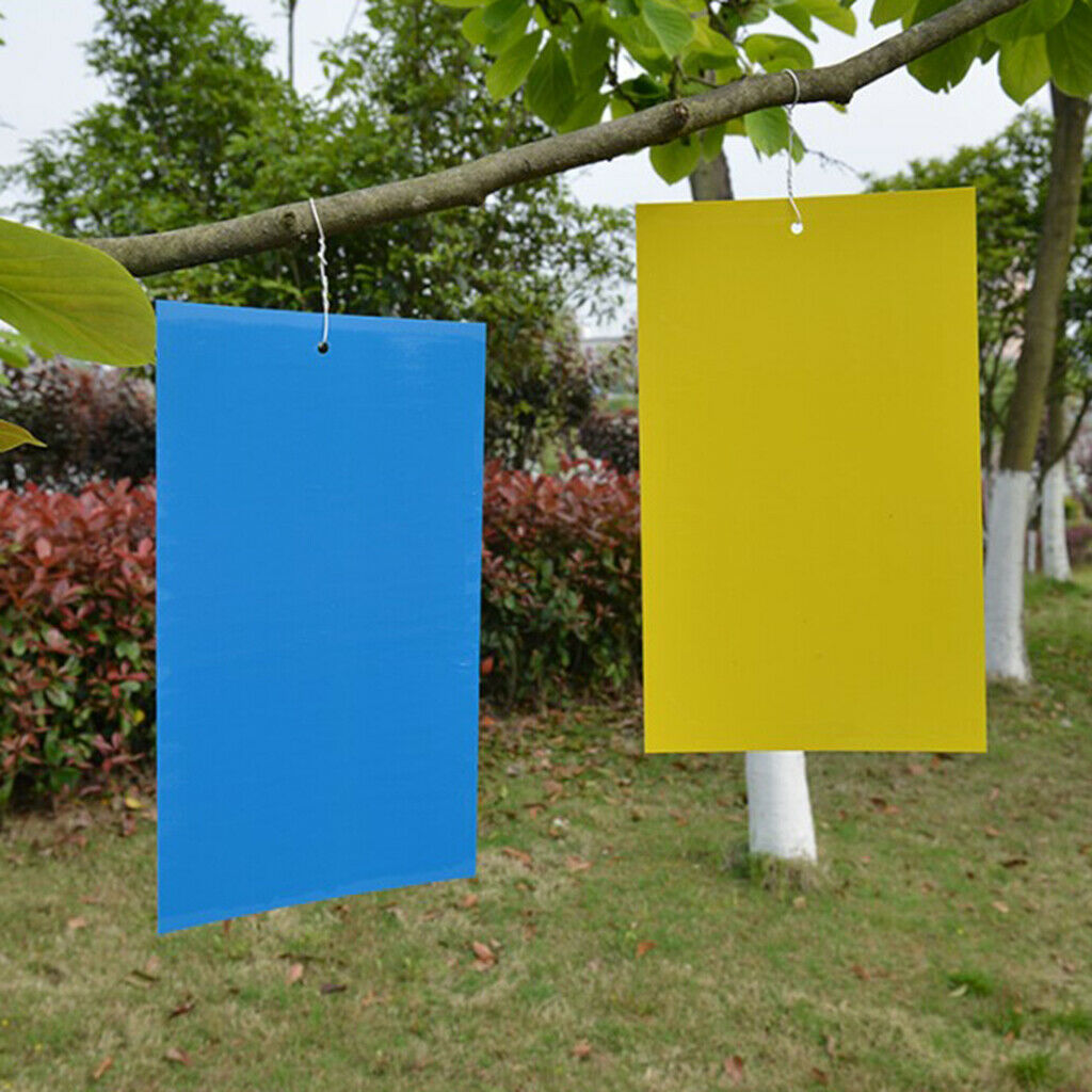 40-Pack Dual-Sided Sticky Traps for Indoor/Outdoor Insect, Such as Fungus Gnats,