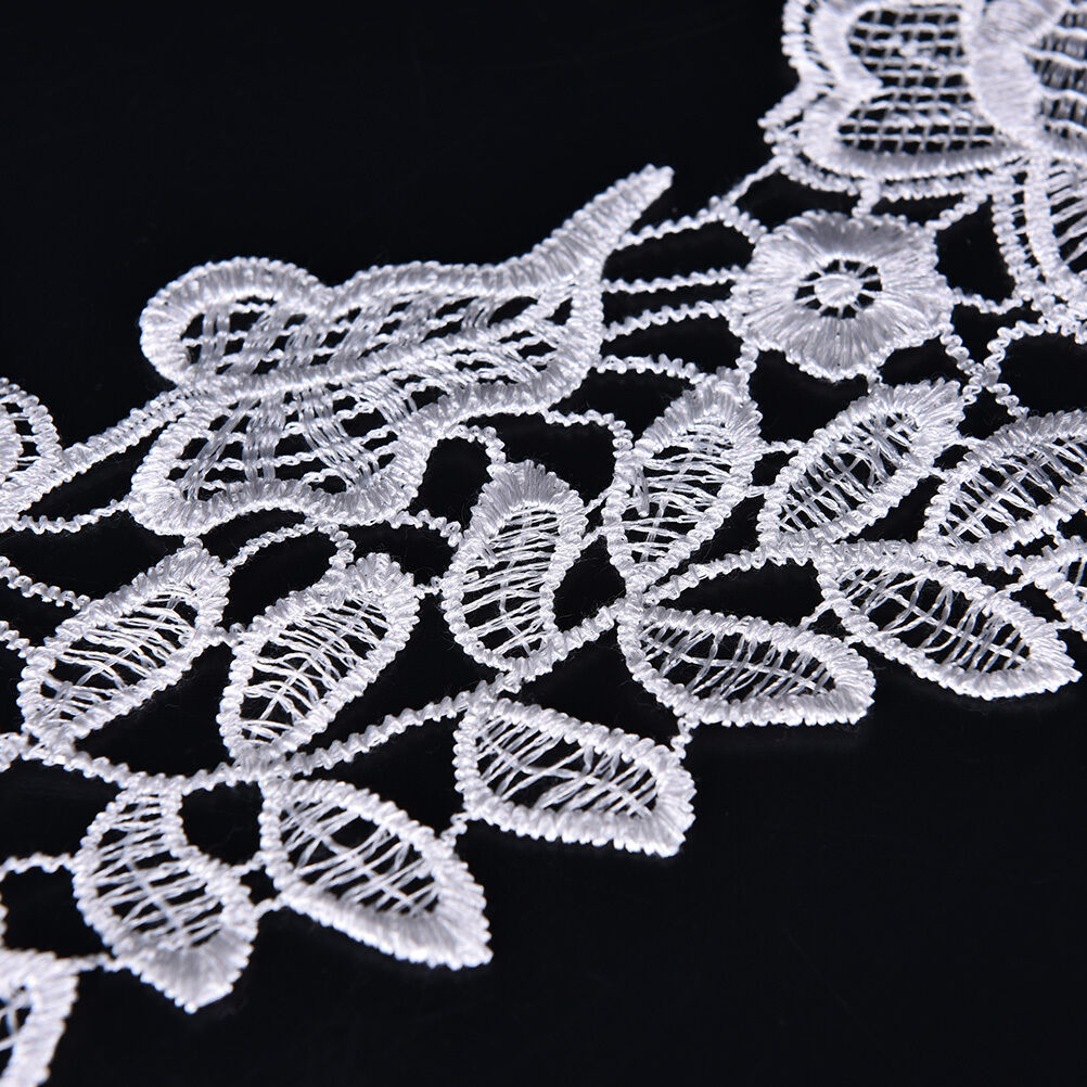 1X Embroidered Floral Lace Neckline Neck Collar Trim Clothes Sewing Patch DD