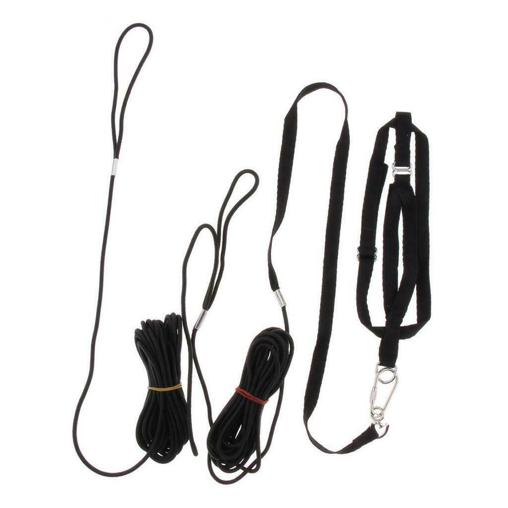 Parrot Bird Leash Outdoor Adjustable Harness Training Rope For Budgerigar Finch