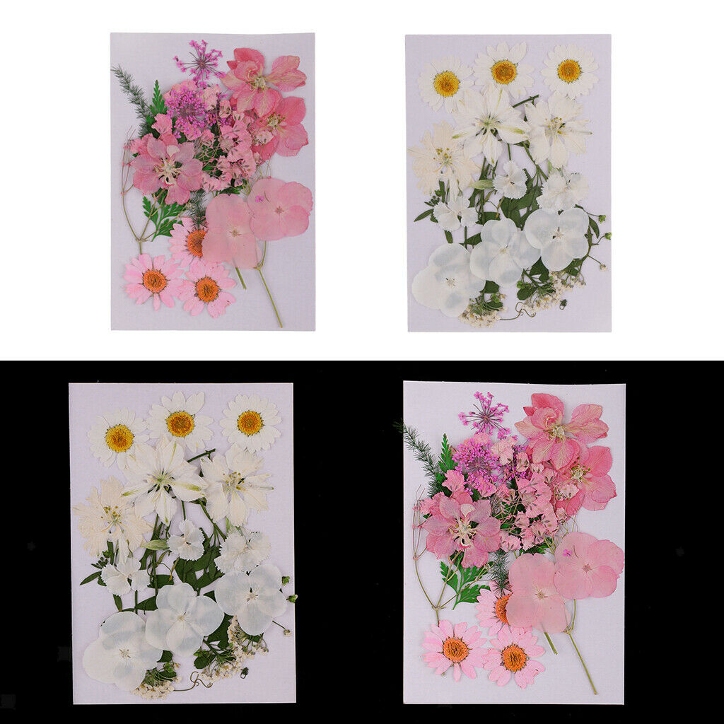 2Bag Multiple Mix Natural Pressed Dried Flowers Leaves DIY Arts Crafts 2.5-3.5cm