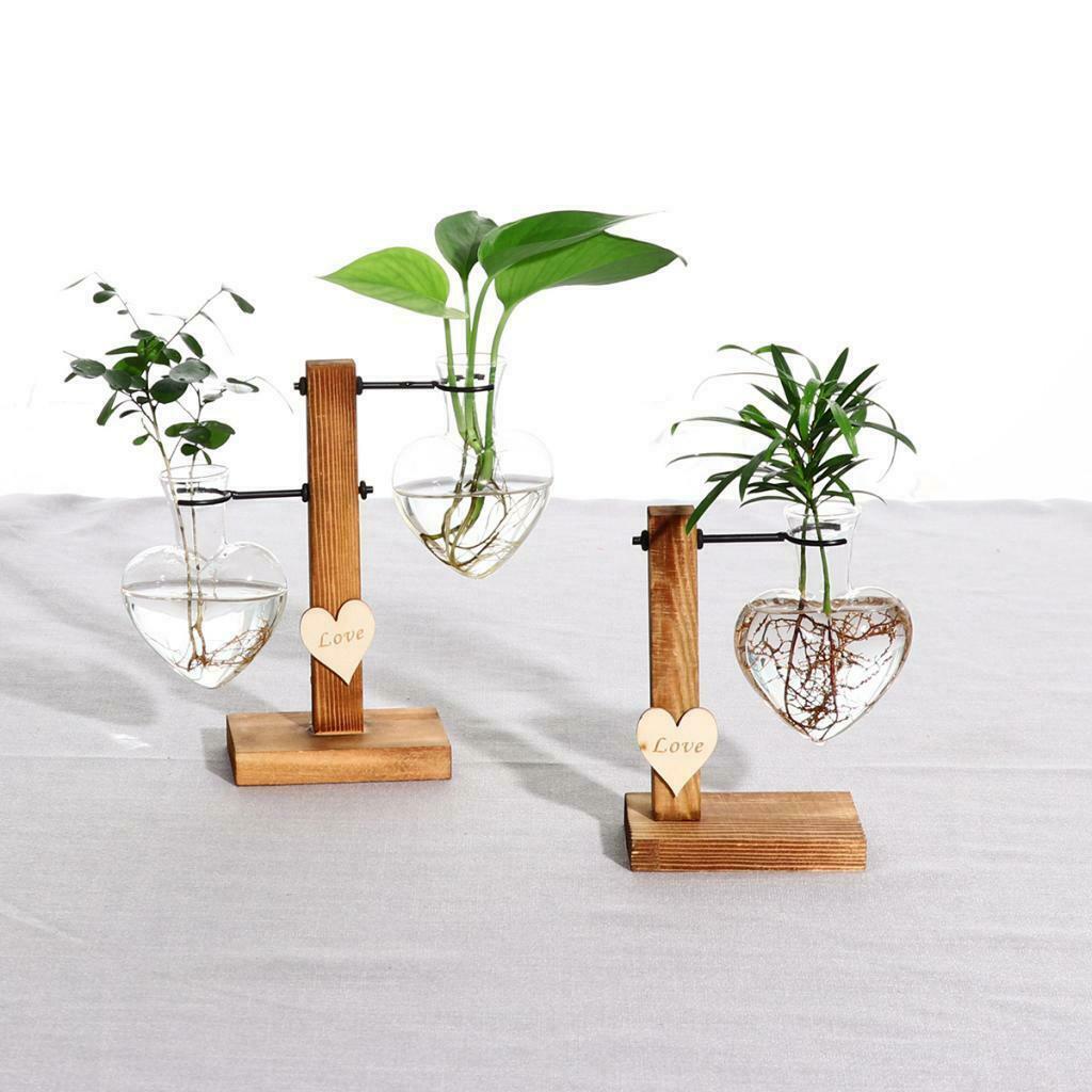 Glass Terrariumin Heart Shaped Test Tube Vase in Wooden Stand Planter for