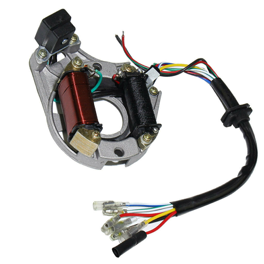 Motorcycle ATV Ignition Stator Coil Magneto 2 Pole for JiaLing JH70