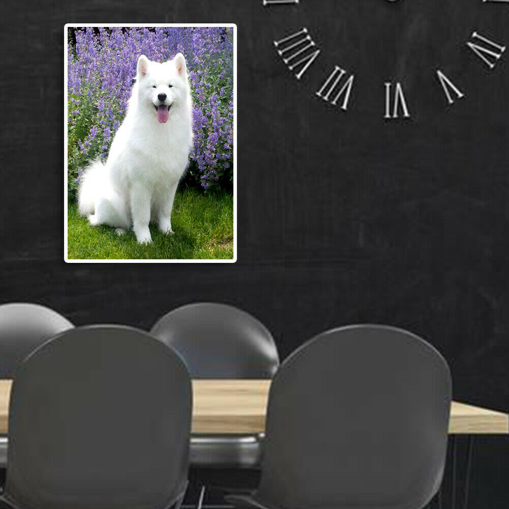 White Dog Full Round Drill 5D Diamond Painting Embroidery Kit Cross Stitch @