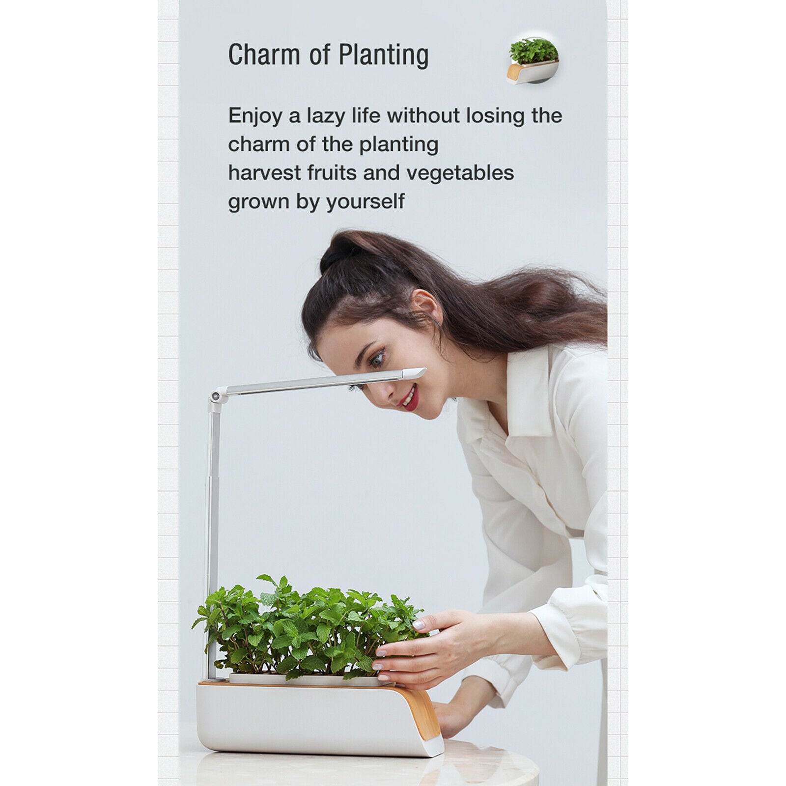Indoor Herb Garden Starter Kit Kitchen Smart Planter LED Grow Light Kit