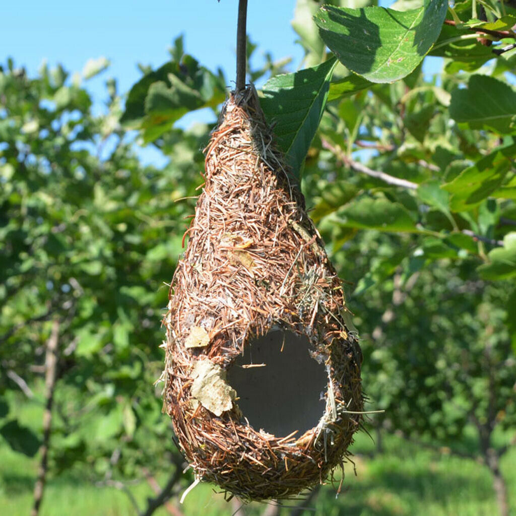4 x Hanging Handwoven Bird Nest Parrot Hatching Breeding Nest Pet Grass Cave