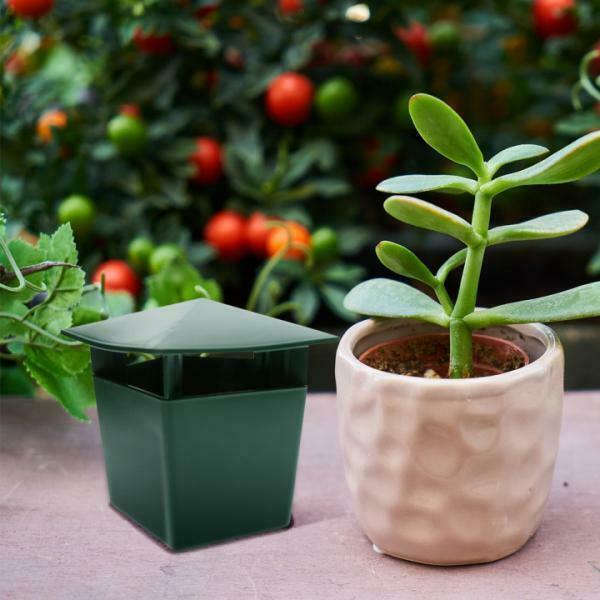 5Pcs Vegetable Garden Safe and Physics Snail Trap, Safe and Physics