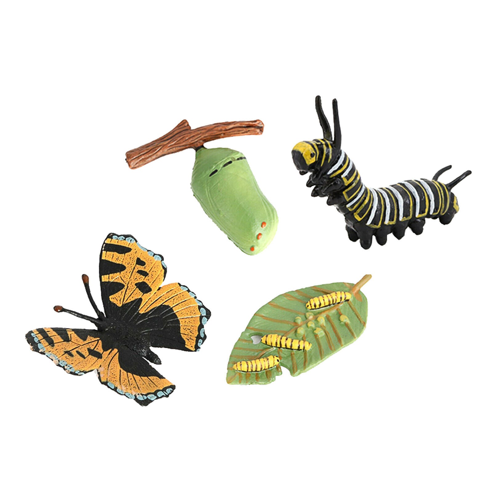 Meticulously Designed Ladybug Butterfly Lifecycle Figures， Educational