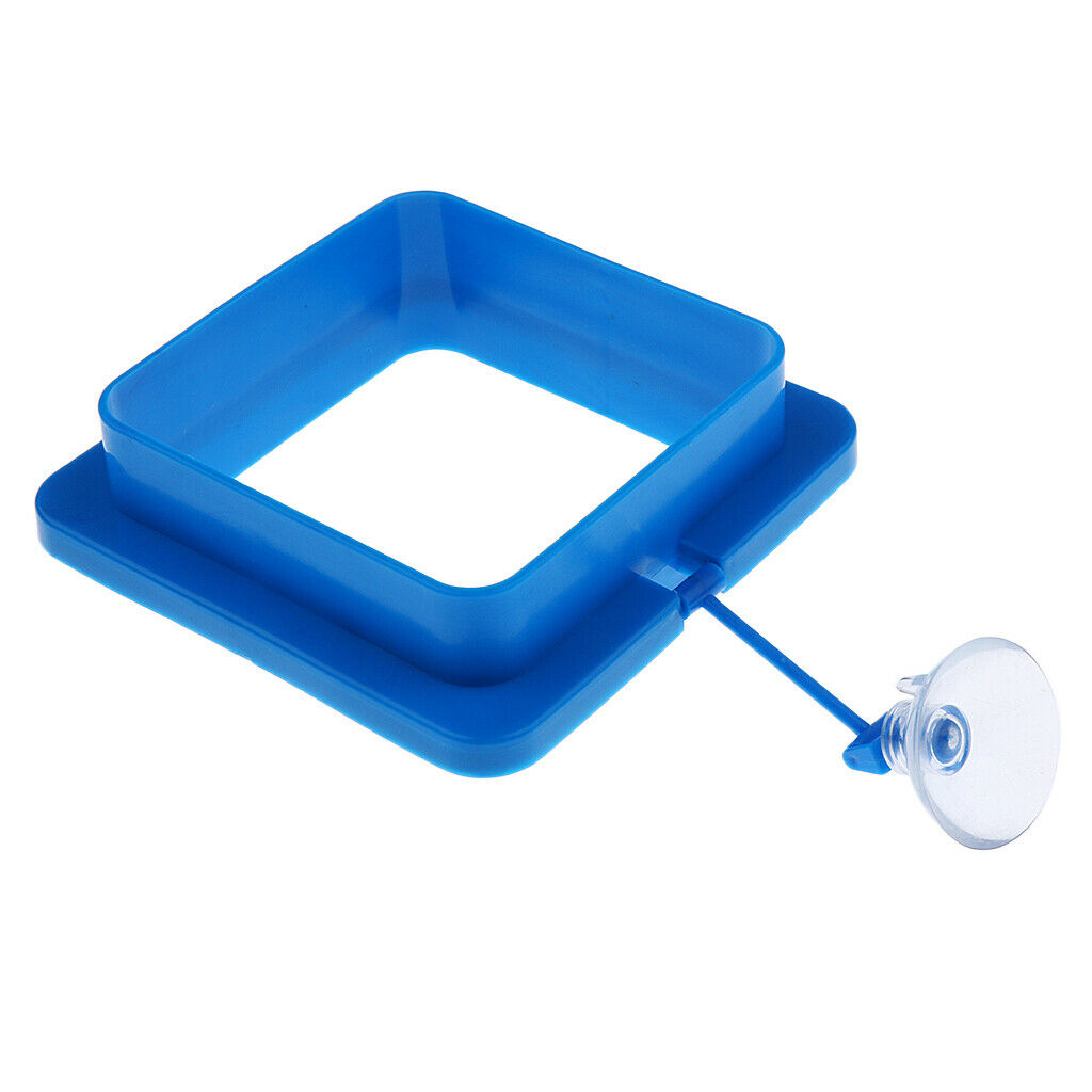 Buoyancy Feeding Ring Aquarium Fish Tank Floating Food Tary Feeder Square