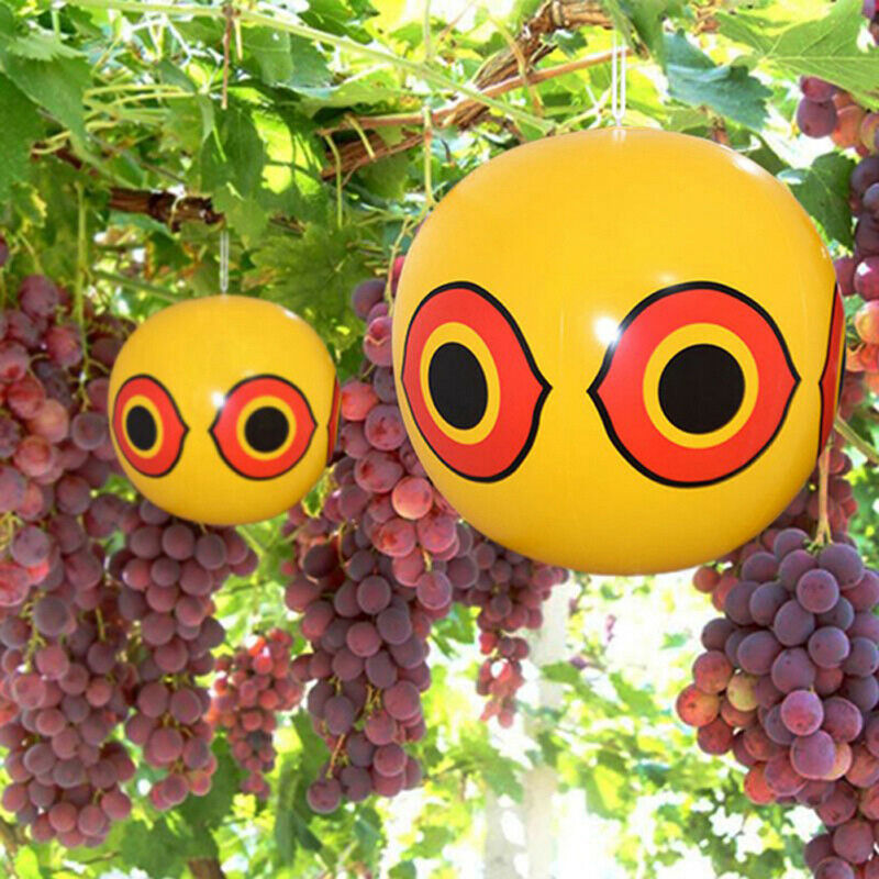 Anti Bird Inflatable Repeller Scare Eye Balloons Visual Deterrent Farm ProteDEAU