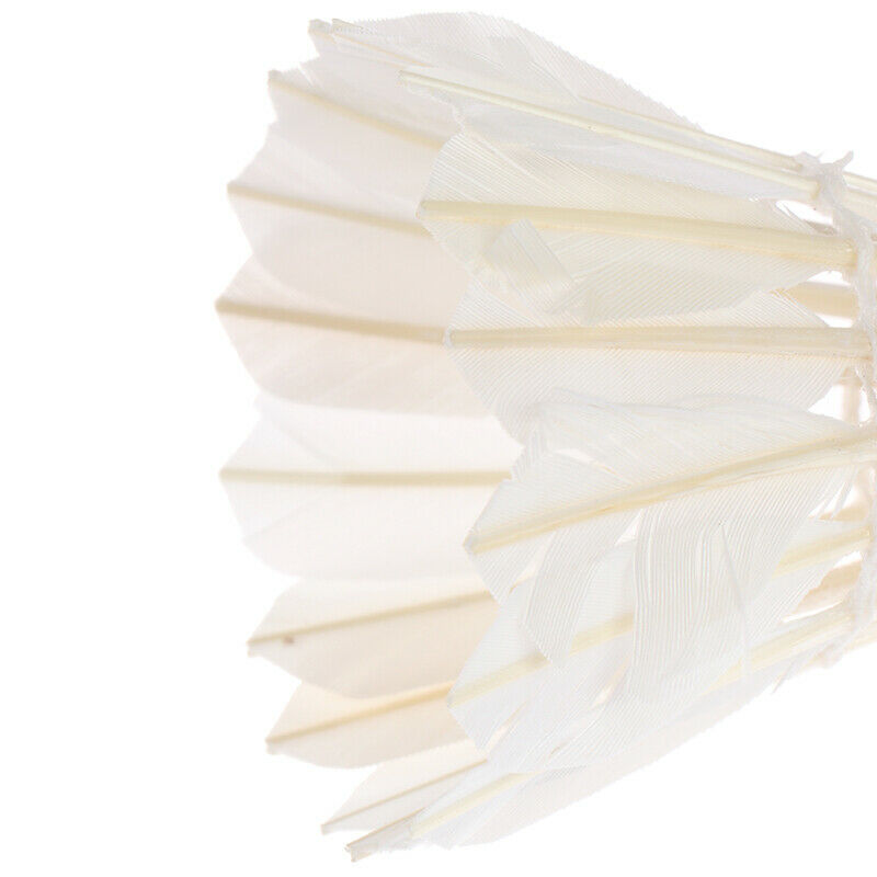 12 Pcs White Goose Feather Badminton Sport Shuttlecocks Durable Training_DD