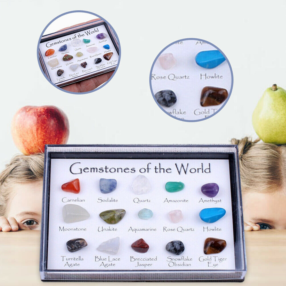 15 Pcs Mini Natural Crystal Agate Stone Rocks Minerals Fossils for Kids Teaching