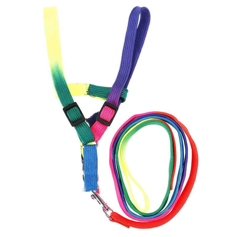 1 Pcs Elastic Rubber Band Tennis Ball Practice Training Belt Line Cord To.l8