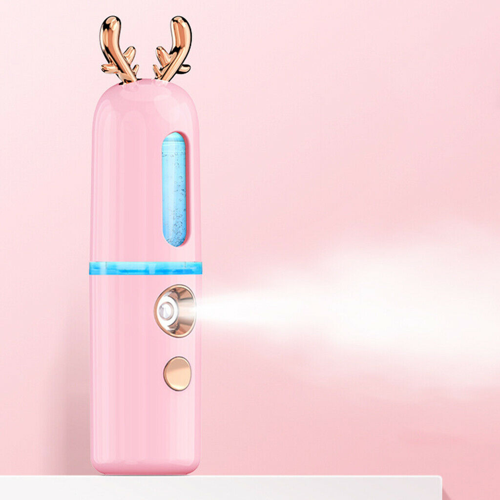 2x Nano Facial Mister Portable Face Mist Hydrating Face Moisturizing USB