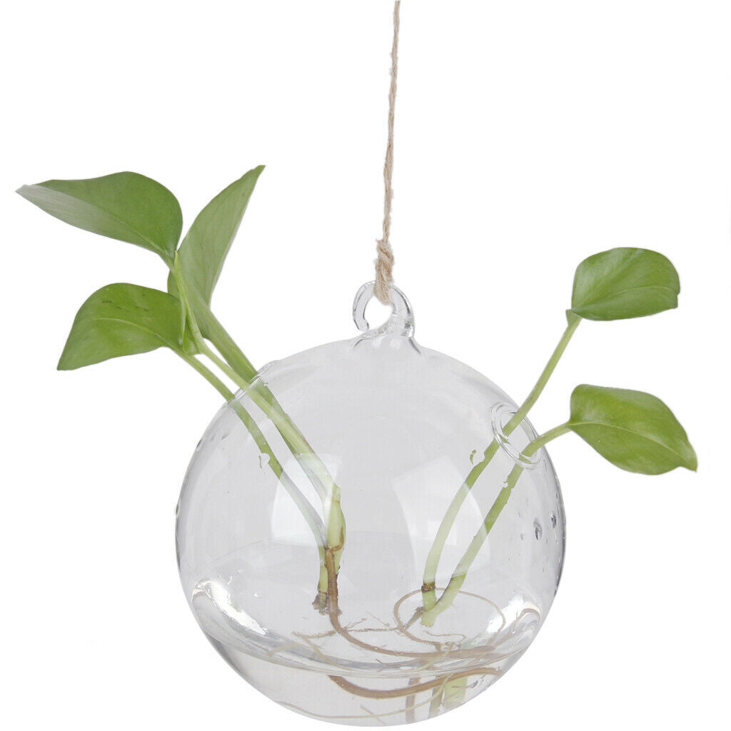 Glass Vase Hanging Ball Shape + Iron Plant Support Plant Holder Hanging Holder
