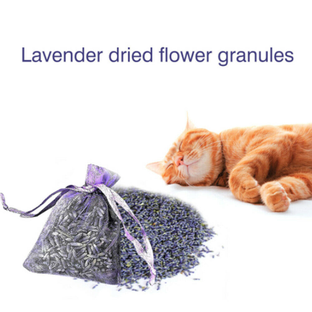 12Pcs Lavender Scented Sachets Bag For Closets Drawers Dried Lavender Flower