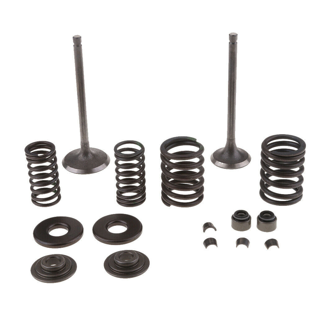 250CC Engine Valve Kit Scooter Engine Valves Engine Valve Springs For Scooter
