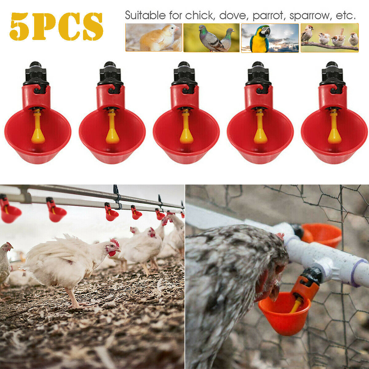 5PCS Poultry Drinking Watering Cups for Chicken/Quail Water Cups Drinker