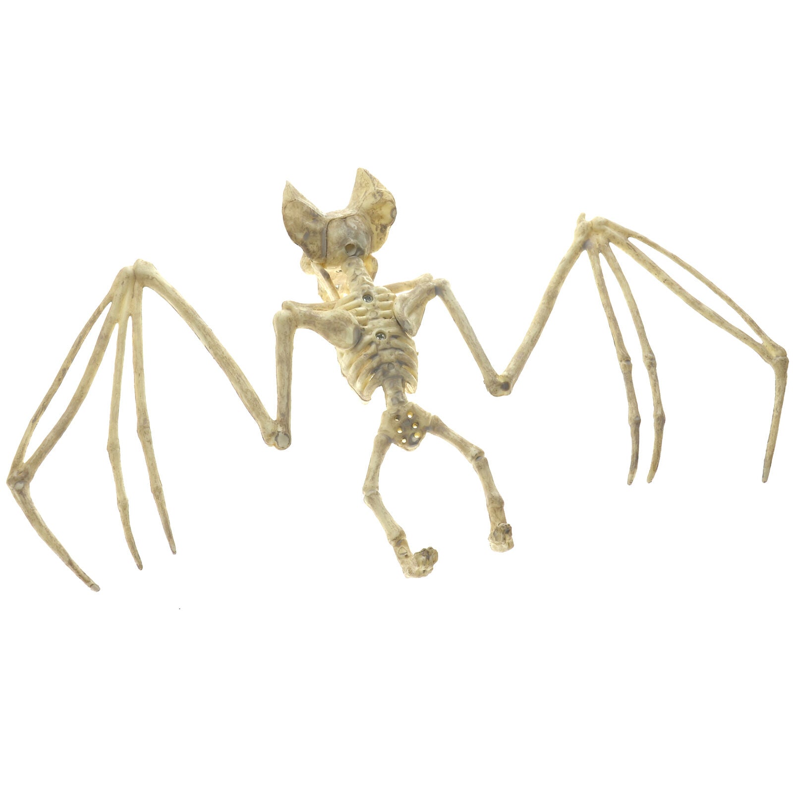 11.8" Creepy Skeleton Bat Bonez Halloween Scene Party Scary Decor Props AU GIFT