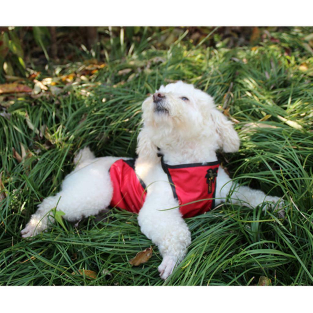 Puppy Pet Outdoor Cozy Comfortable Apparel For Small Medium Large Dogs Red