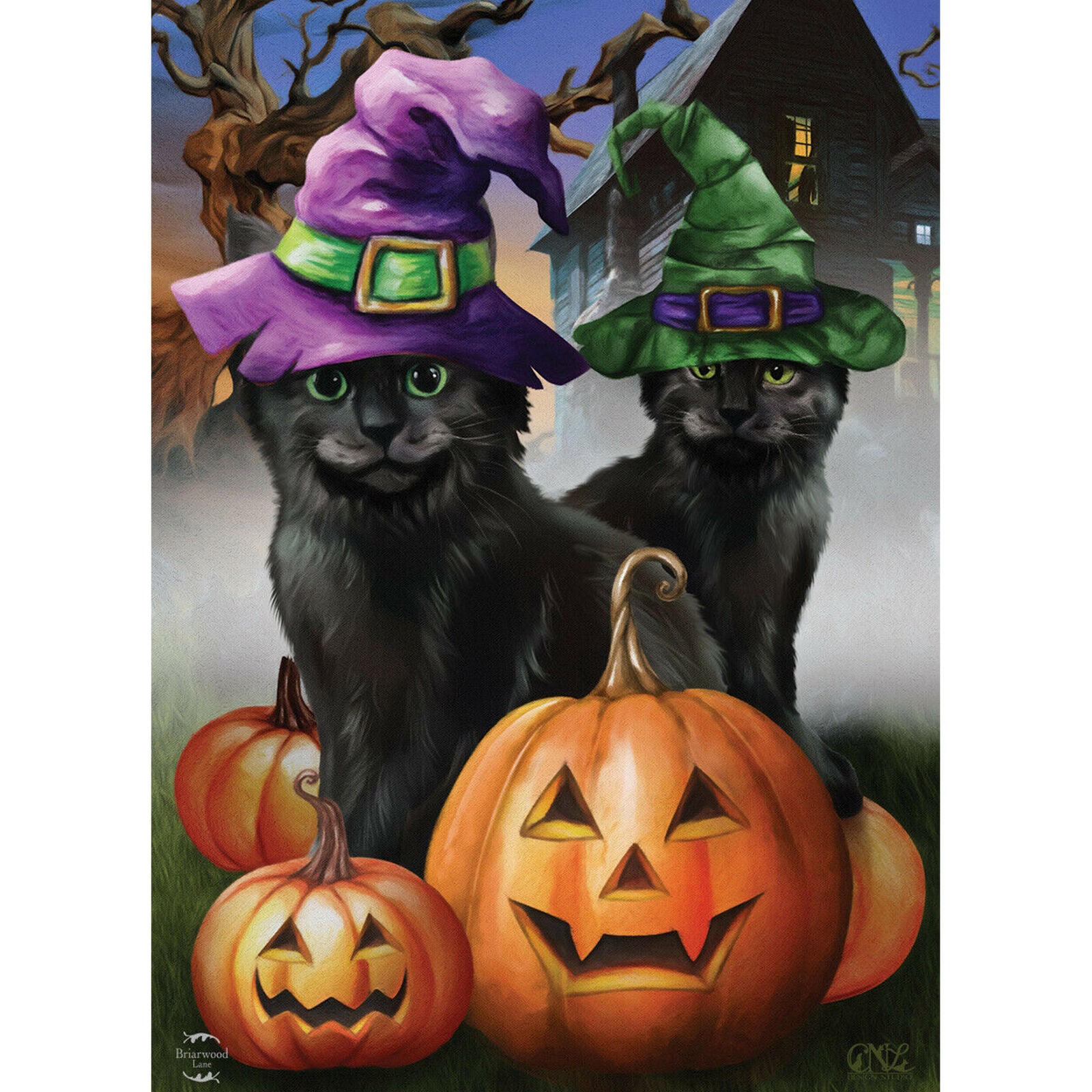 Kittens Halloween House Flag Jack o'Lanterns 28" x 40" Briarwood Lane