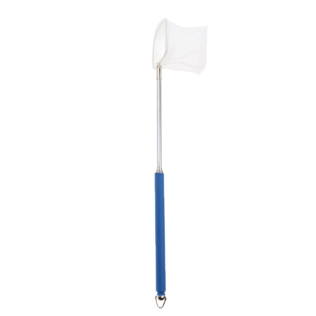 Small Aquarium Shrimp Retractable   Tank Net Random Color Square