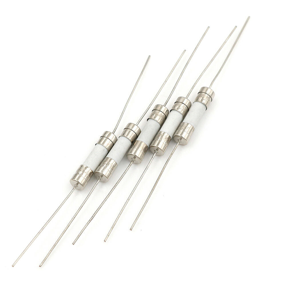 5Pcs 10A 250V ceramic body time-lag axial lead fuse for lcd-tv etc 5*20mm B WF