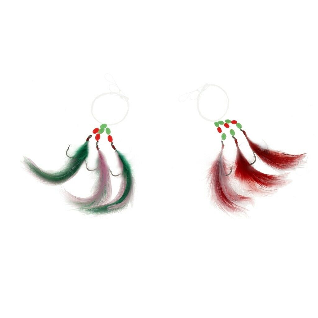 Premium 2 Pieces Fishing Floating Bait Mackerel Rigs Skirted Trolling Feather