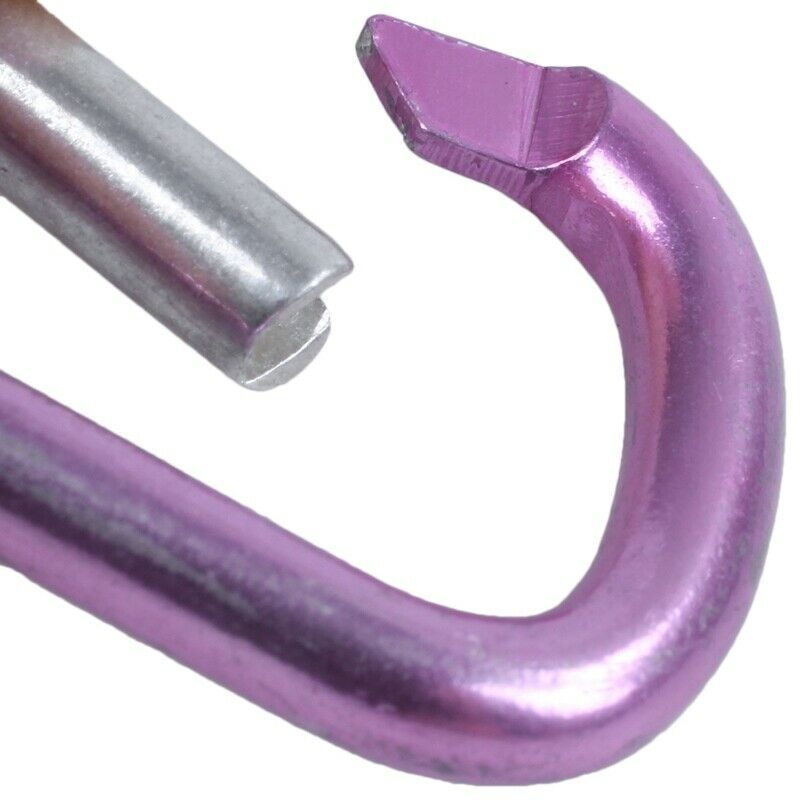 10X(Pink aluminum alloy D-shape sp-loaded gate closure carabiner W1N2)