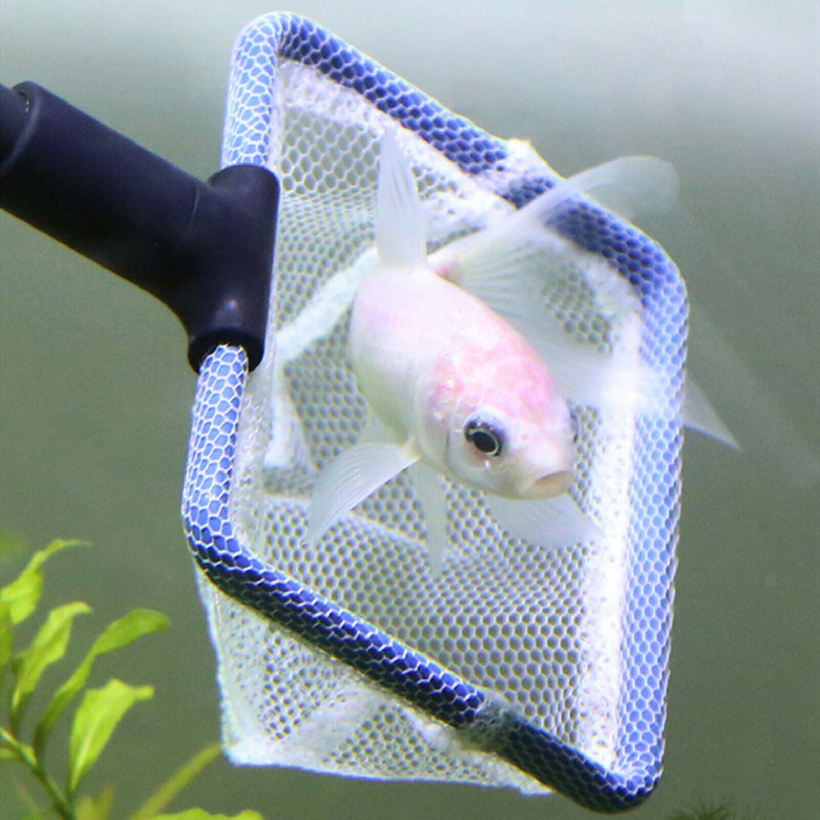 5 in 1 Aquarium Clean Tool Gravel Rake Plant Fork Sponge Brush Cleaner Set