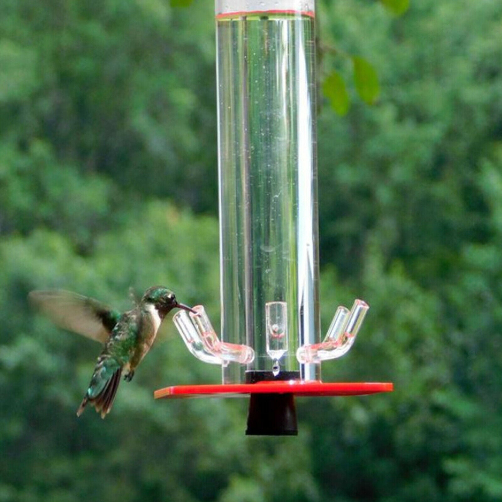 Hummingbird Feeder with Hanging Hook 5 Feeding Ports Patio Outdoors Balcony