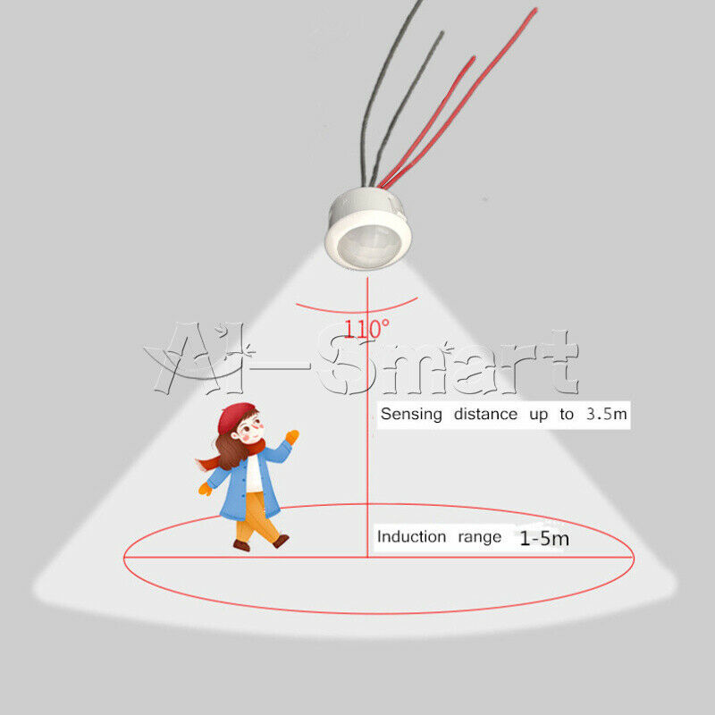 Human Body Infrared Sensor Switch Wiring Ceiling Lamp DC 9V-60V 18W