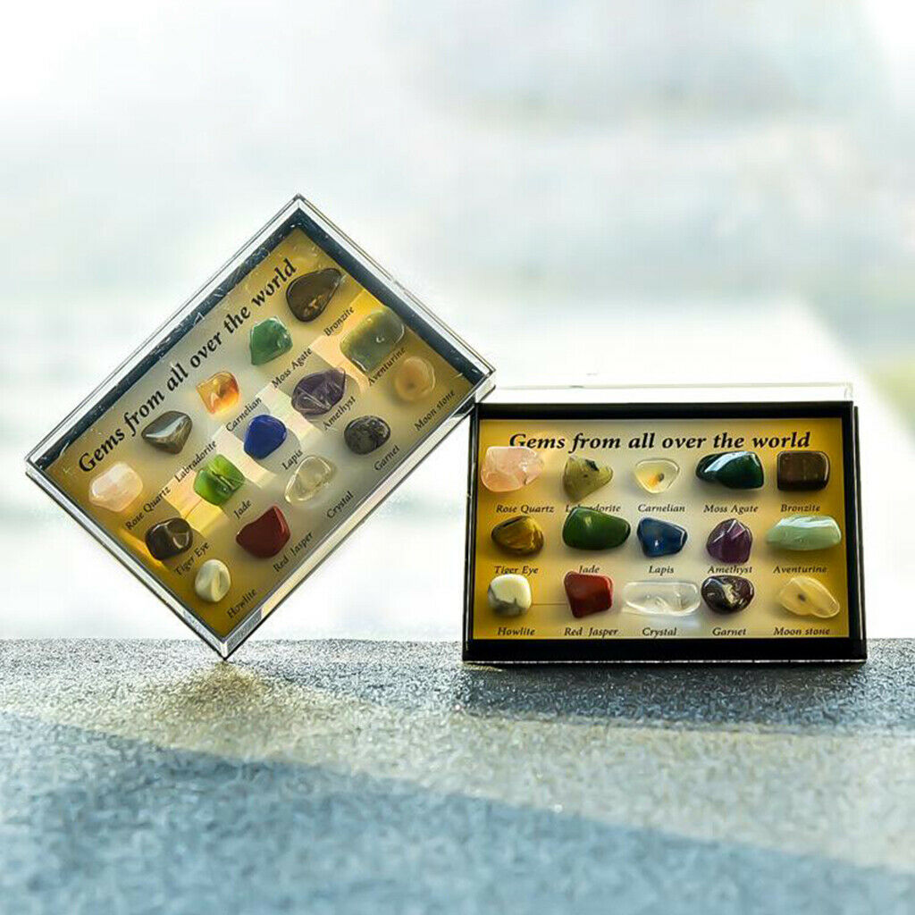 15 Rough & Polished Mineral Stone Set Education Specimen Kit in Wooden Box