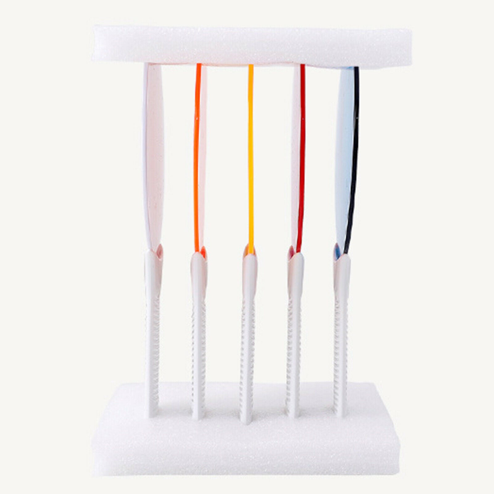 5x Plastic Color Paddles Color Toys, Science Color Educational Toys for kids