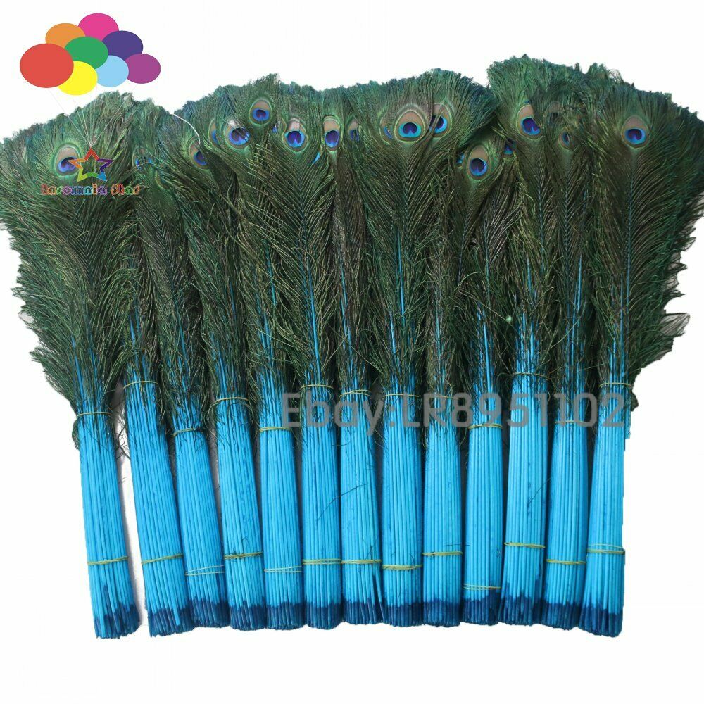 blue lake 100 pcs beautiful Peacock feathers 70-80cm for Crafts DIY weddings