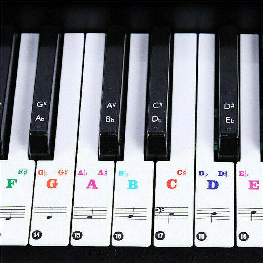 Removable PVC Piano and Keyboard Stickers for 49 61 76 88 Transparent DIY