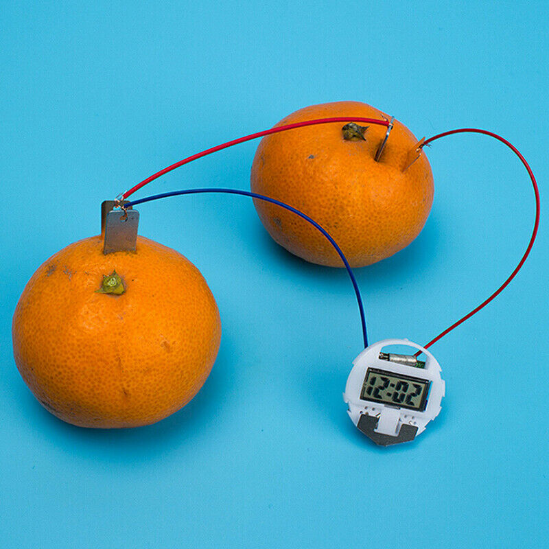 1 Set children bio energy science kit fruit supply electricity experiments .DD
