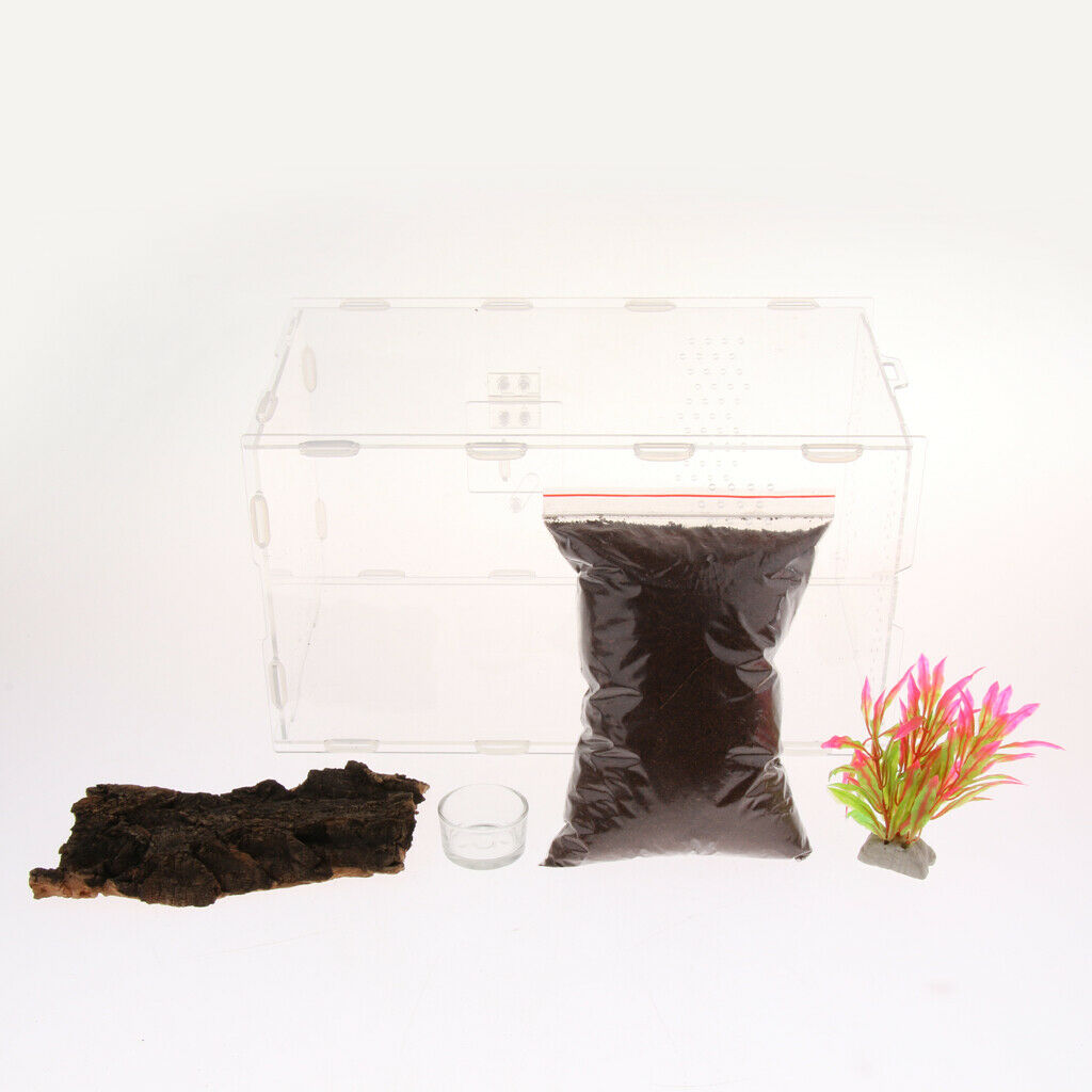 Acrylic Reptile & Amphibian Terrarium Tank For Lizard Turtle Spider